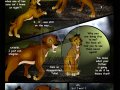 Taka_Comic_P_72_by_Savu0211.jpg
